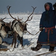 Camp With Reindeer Herders in Siberia