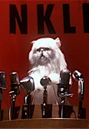 Mr. Tinkles, Cats & Dogs (2001)