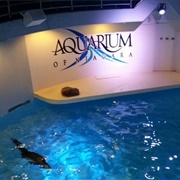 Aquarium of Niagara