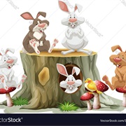 Adopt Five Real Bunnies