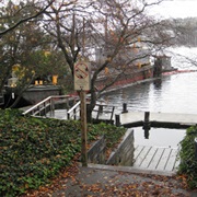 Terry Pettus Park (Seattle)