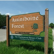 Assiniboine Forest