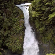 Puyehue National Park