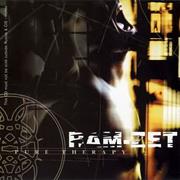 Ram-Zet - Pure Therapy