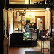 Hal Tyrrell Trailside Museum of Natural History, River Forest