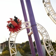 Insane (Gröna Lund, Sweden)