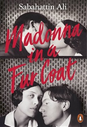 Madonna in a Fur Coat (Sabahattin Ali)