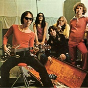 Flamin' Groovies