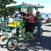 Explore Oriental Bay on a Croc-Bike