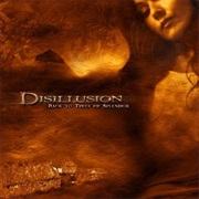 Disillusion - The Sleep of Restless Hours