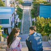 When the Camellia Blooms