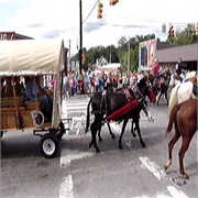 Mule Day in Winfield