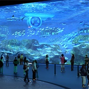 Cube Oceanarium, China