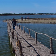 Karavasta Lagoon