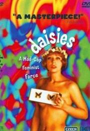 Daisies