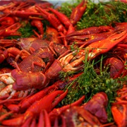 Kräftor (Crayfish)