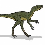 Scipionyx