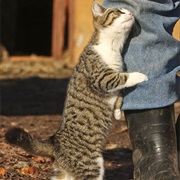 When They Need Attention