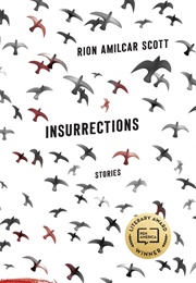 Insurrections (Rion Amilcar Scott)