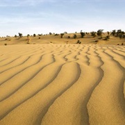 Thar Desert