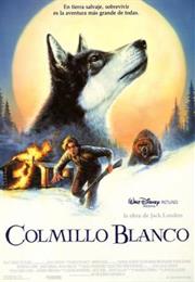 Jack London Colmillo Blanco