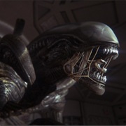 The Alien - Alien Franchise