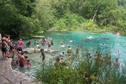 Ichetucknee Springs (Florida)