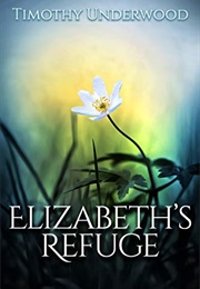 Elizabeth's Refuge: An Elizabeth and Darcy Story (Timothy Underwood)