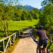 Senda Del Oso, Asturias