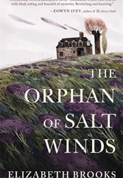 The Orphan of Soft Winds (Elizabeth Brooks)