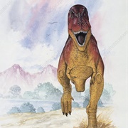 Indosuchus