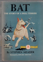Bat:The Story of a Bull Terier (Stephen W. Meader)