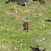 Simon (The Killer Ewok)