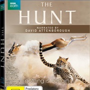 The Hunt
