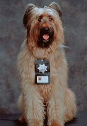 Betty in Top Dog (1995)