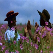 The Color Purple