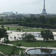 Jardin Des Tuileries