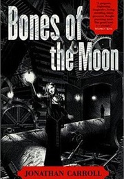 Bones of the Moon (Jonathan Carroll)