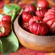 Red Bush Apple (Syzygium Suborbiculare)