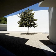 Ir a Serralves