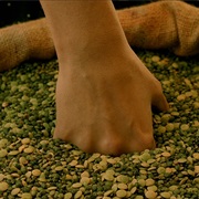 Sinking Your Hand in a Sack of Rice or Beans