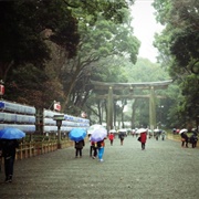 Visit Meiji Jingu Shrine