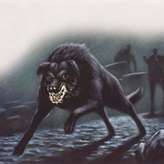 The Hound of the Baskervilles