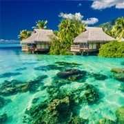 French Polynesia (Gambier, Tahiti, Tuamotu)