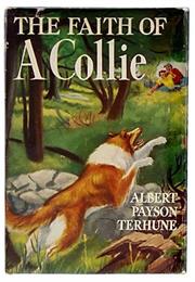 The Faith of a Collie