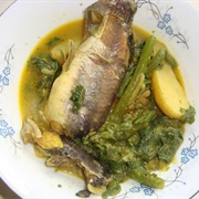 Dwarf Snakehead (Channa Gachua)