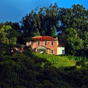 Alarm Forest (Saint Helena; Saint Helena, Ascension and Tristan Da Cunha; UK)