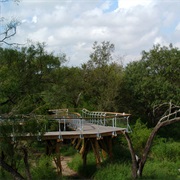 Bentsen-Rio Grande Valley State Park