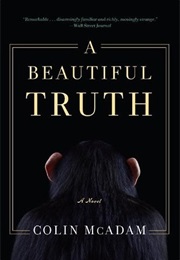 A Beautiful Truth (Colin McAdam)
