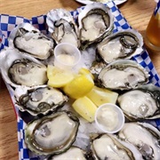 Pacific Oyster Company Tour, Bay City OR